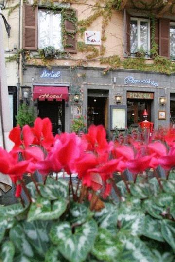 Hotel Pinocchio Frascati Eksteriør billede